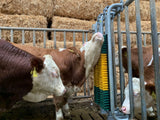 Bullenbürste mit Schutzkorb, gefedert