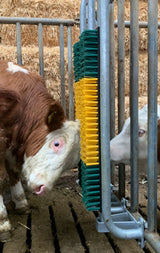 Bullenbürste mit Schutzkorb, gefedert
