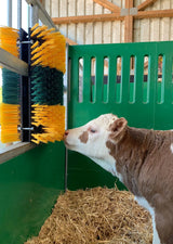 Kratzbürste Multifix für Wand- und Pfostenmontage