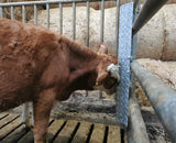 Scheuerblech 92x40x10cm