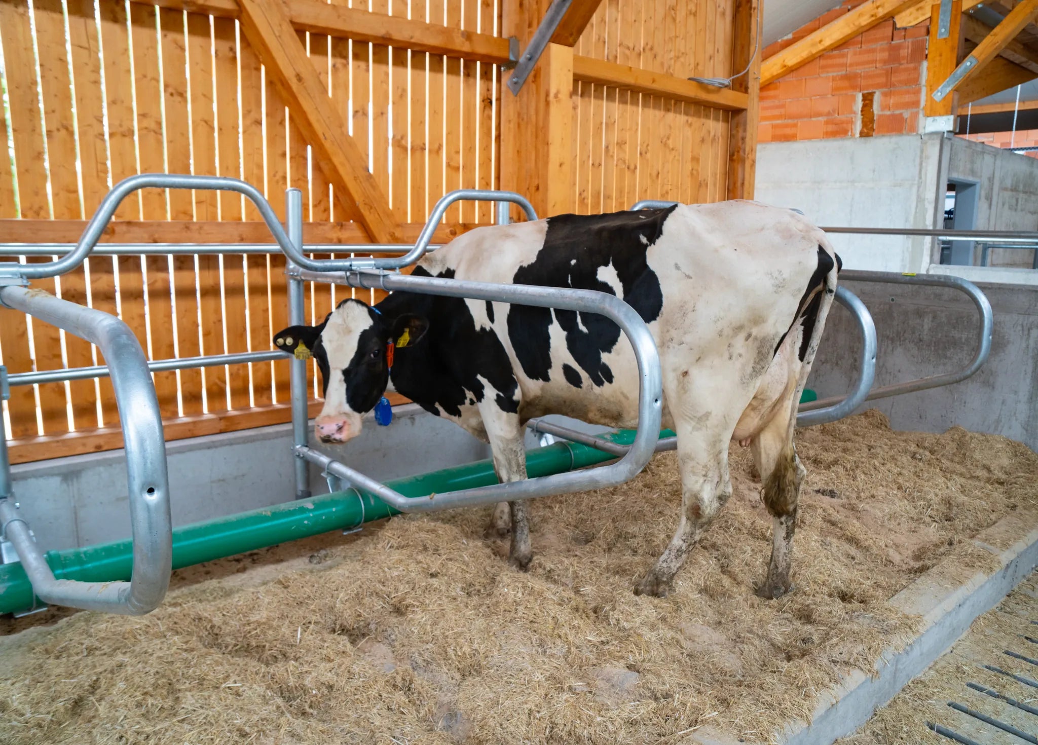 Gewelltes Nackenrohr, 2 Plätze für Liegeboxenbreite 1,15 m