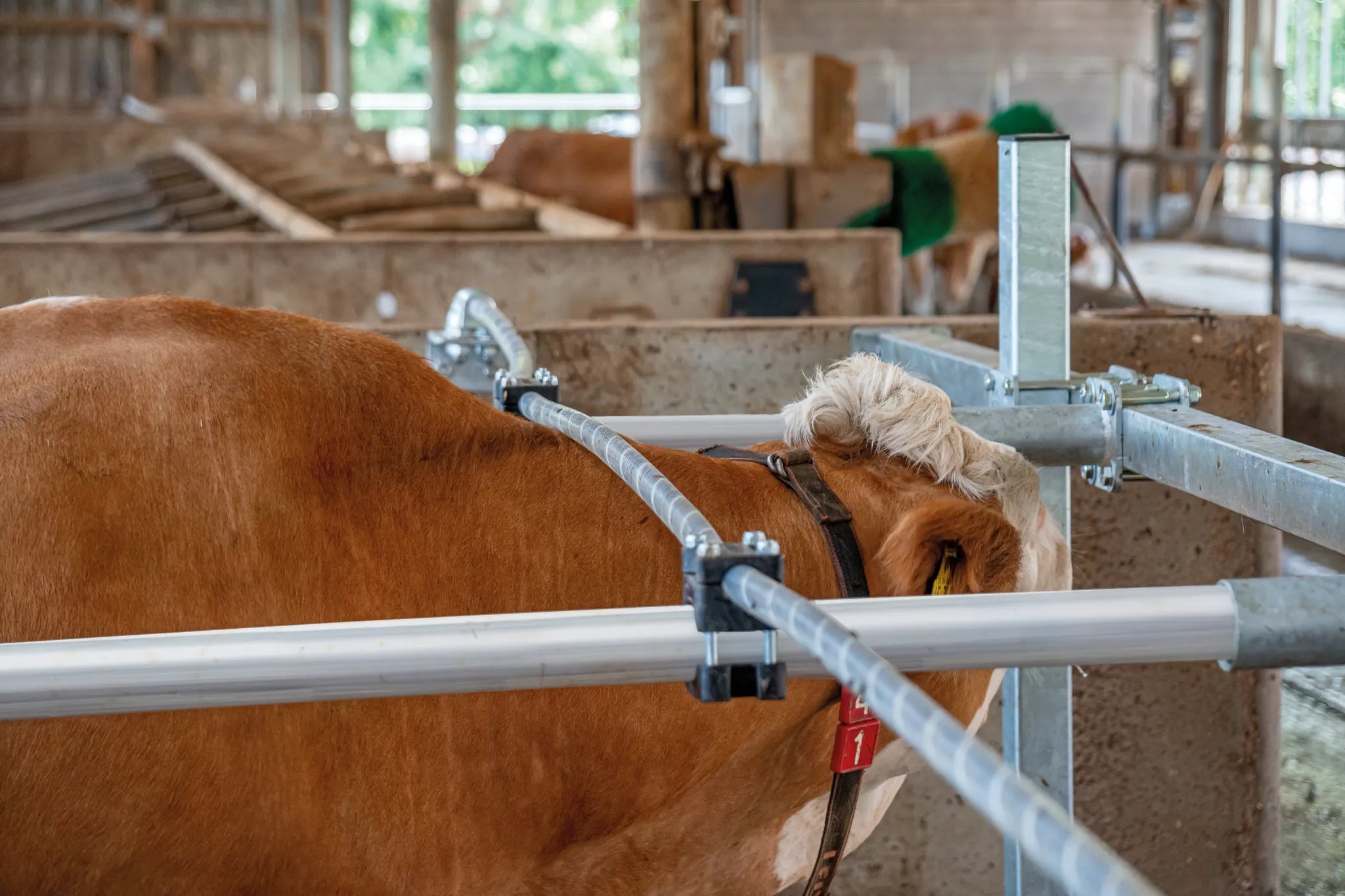 Patura Flexibles Nackenseil