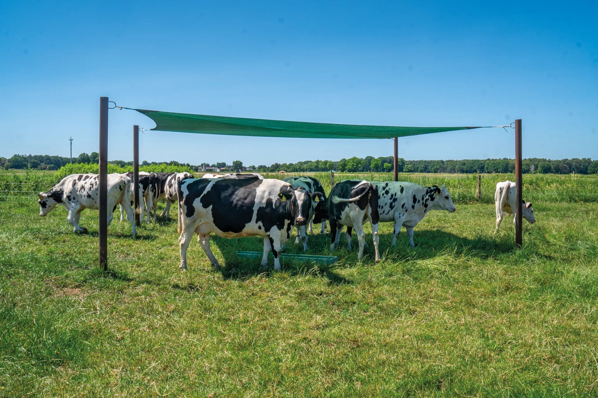 Beschattungsnetz 4,5 x 4,0 m Spezialnetz M75 grün