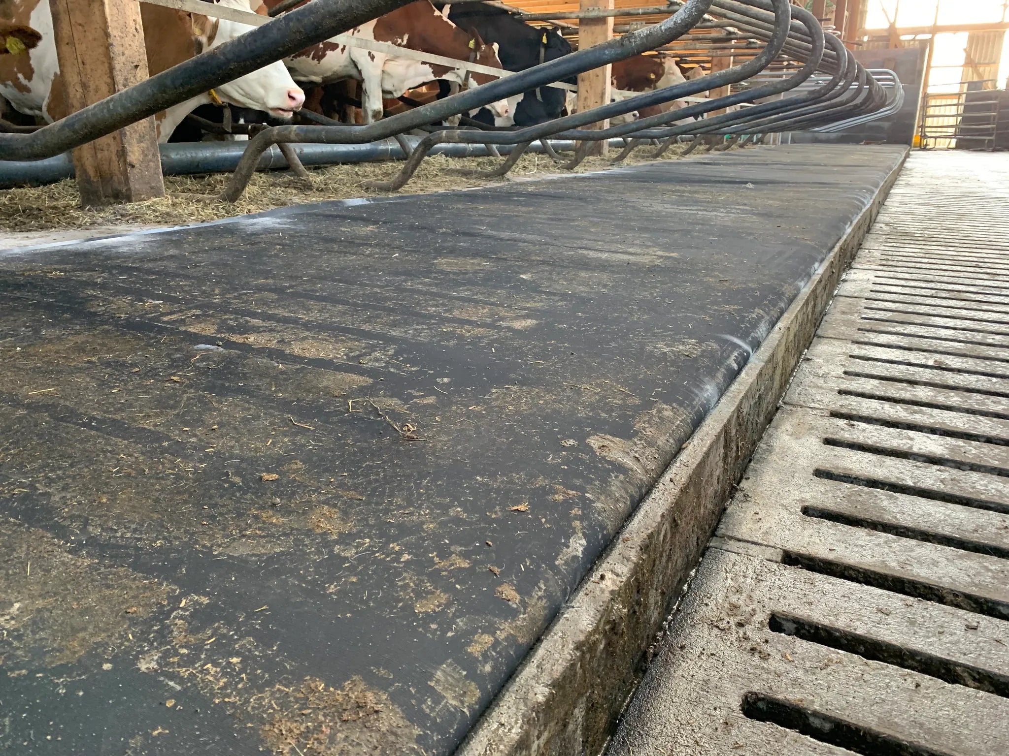 Latex-Matratze, Liegeboxentiefe 1,70 m, Meterware,