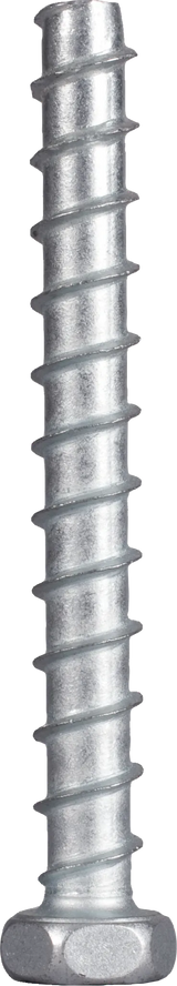 Bolzenanker/Betonschraube M10 x 100 mm Edelstahl