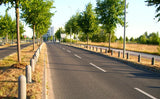 Poller Halbkugelkopf aus Recyclingmaterial