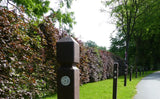 Poller Pyramidenkopf aus Recyclingmaterial