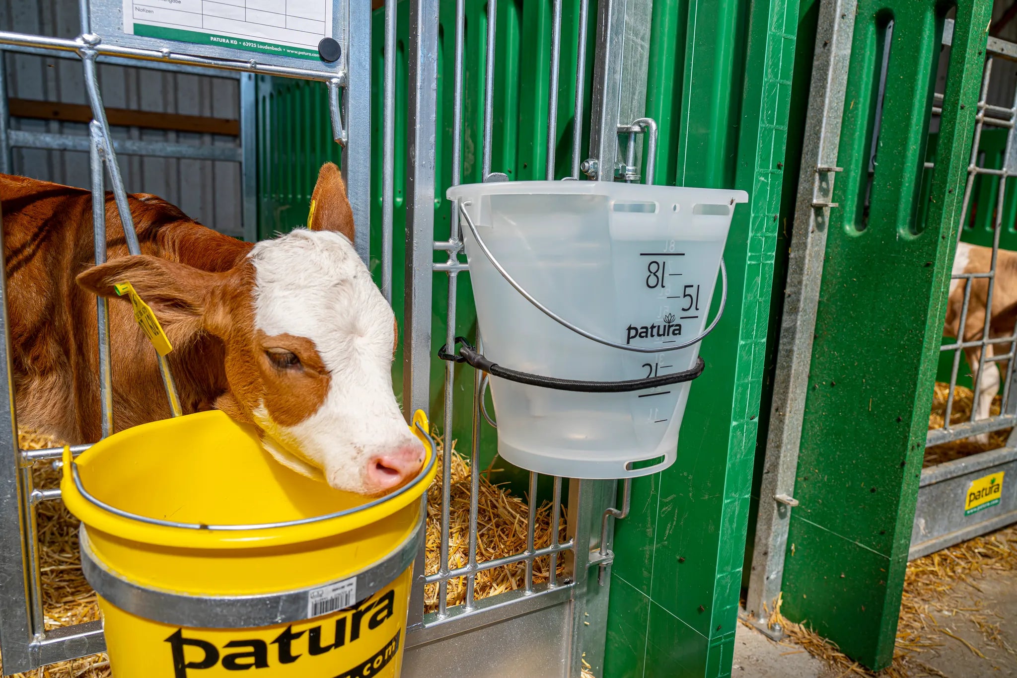 Auswurfschutz Nuckel-Tränkeeimer