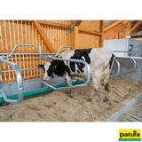 Gewelltes Nackenrohr, 2 Plätze für Liegeboxenbreite 1,15 m