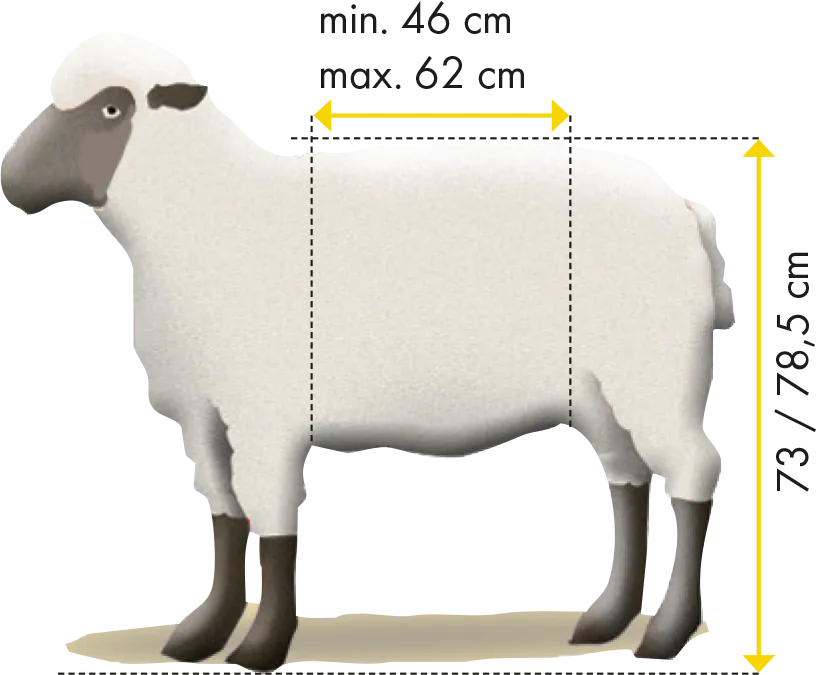 Fang- u. Behandlungsstand für Schafe "Typ L", verzinkt