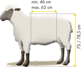 Fang- u. Behandlungsstand für Schafe "Typ L", verzinkt