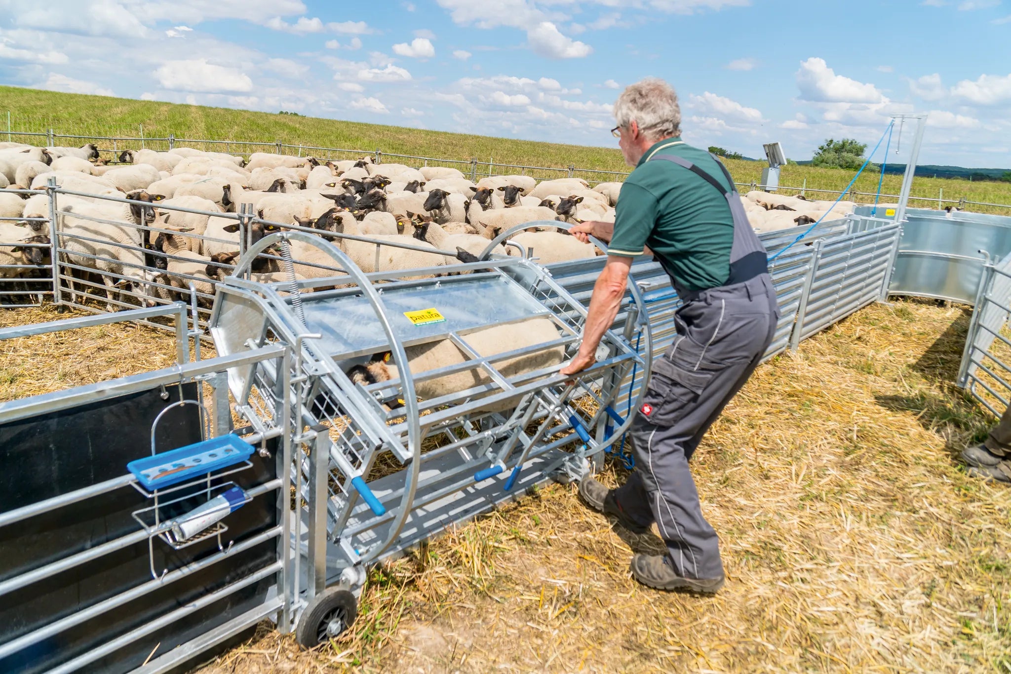 Wendebox für Schafe verzinkt, inkl. Fahrwerk