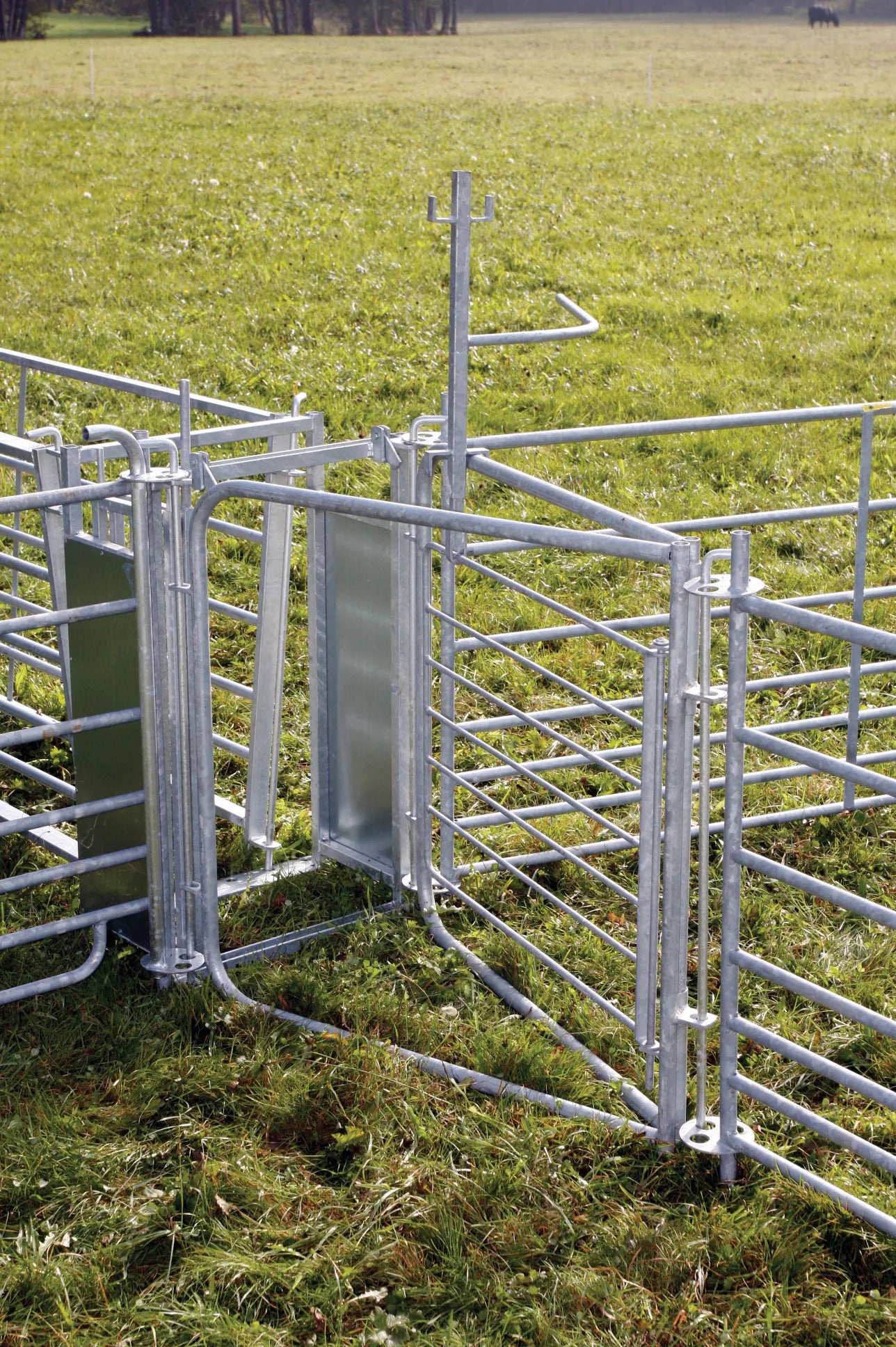 2-Wege-Sortiertor, für Schaf-Fanganlagen mit Bedienhebel, vz.