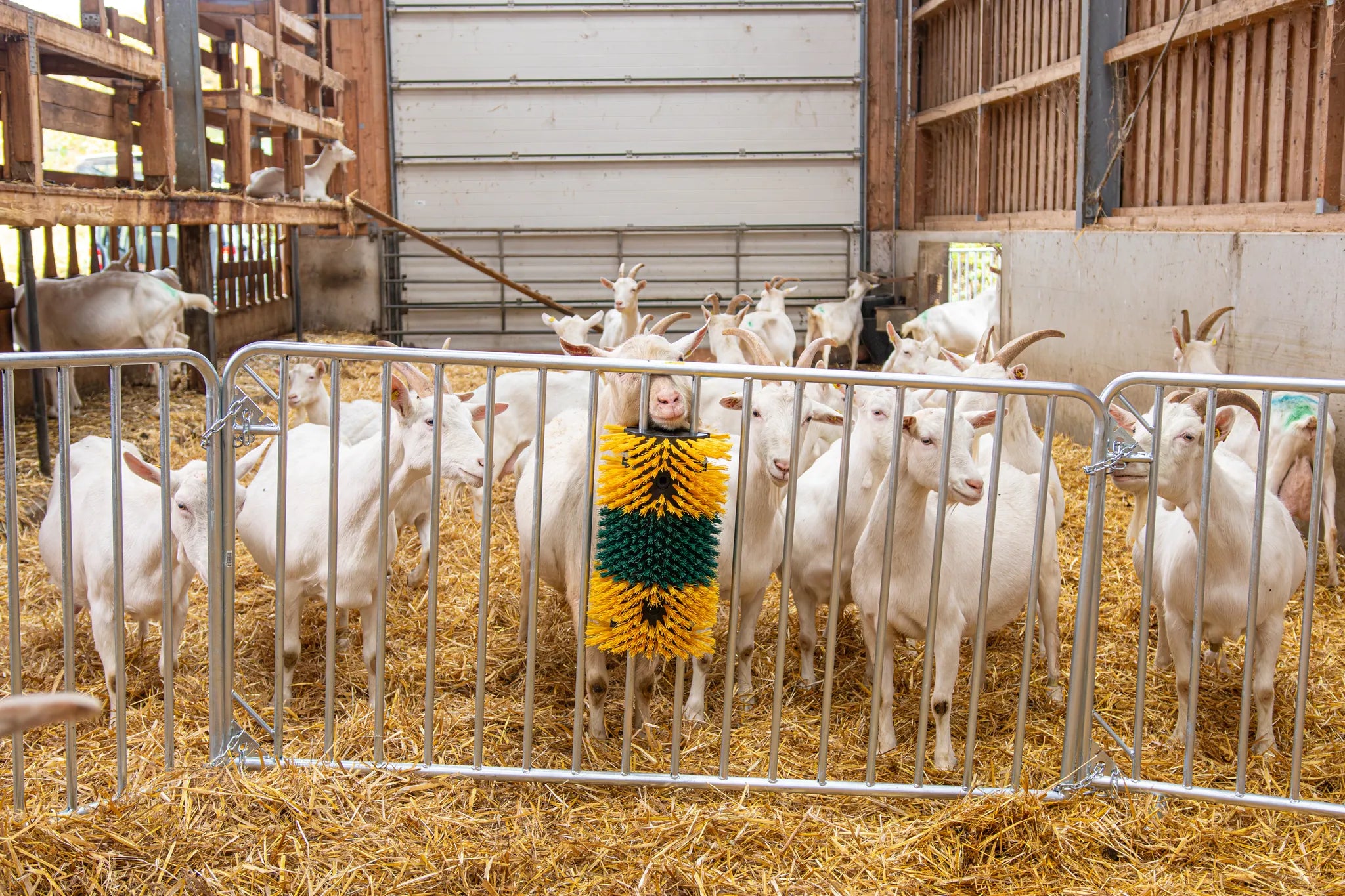 Absperrgitter Duofix L= 2,00 m, H= 1,10 m