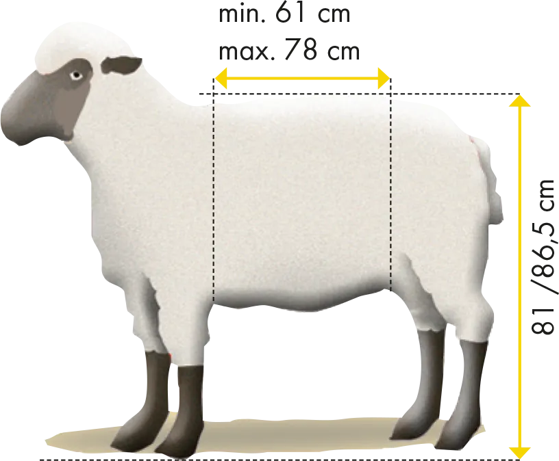 Fang- u. Behandlungsstand Schafe Typ XL, verzinkt