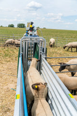 3-Wege- Wiege- und Sortierbox mit Druckluftbetrieb