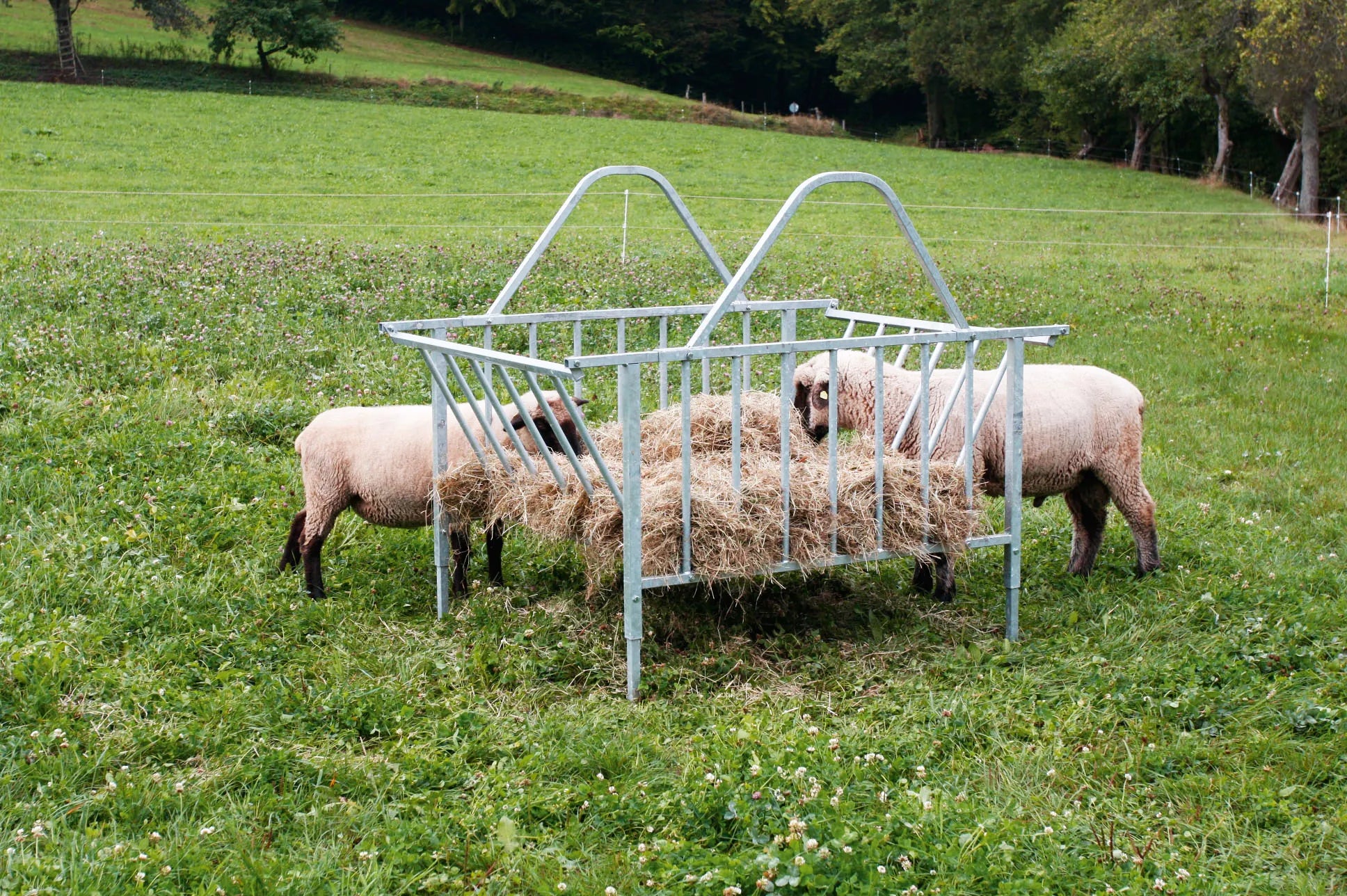 Viereckraufe Standard, 28 Fressplätze verzinkt