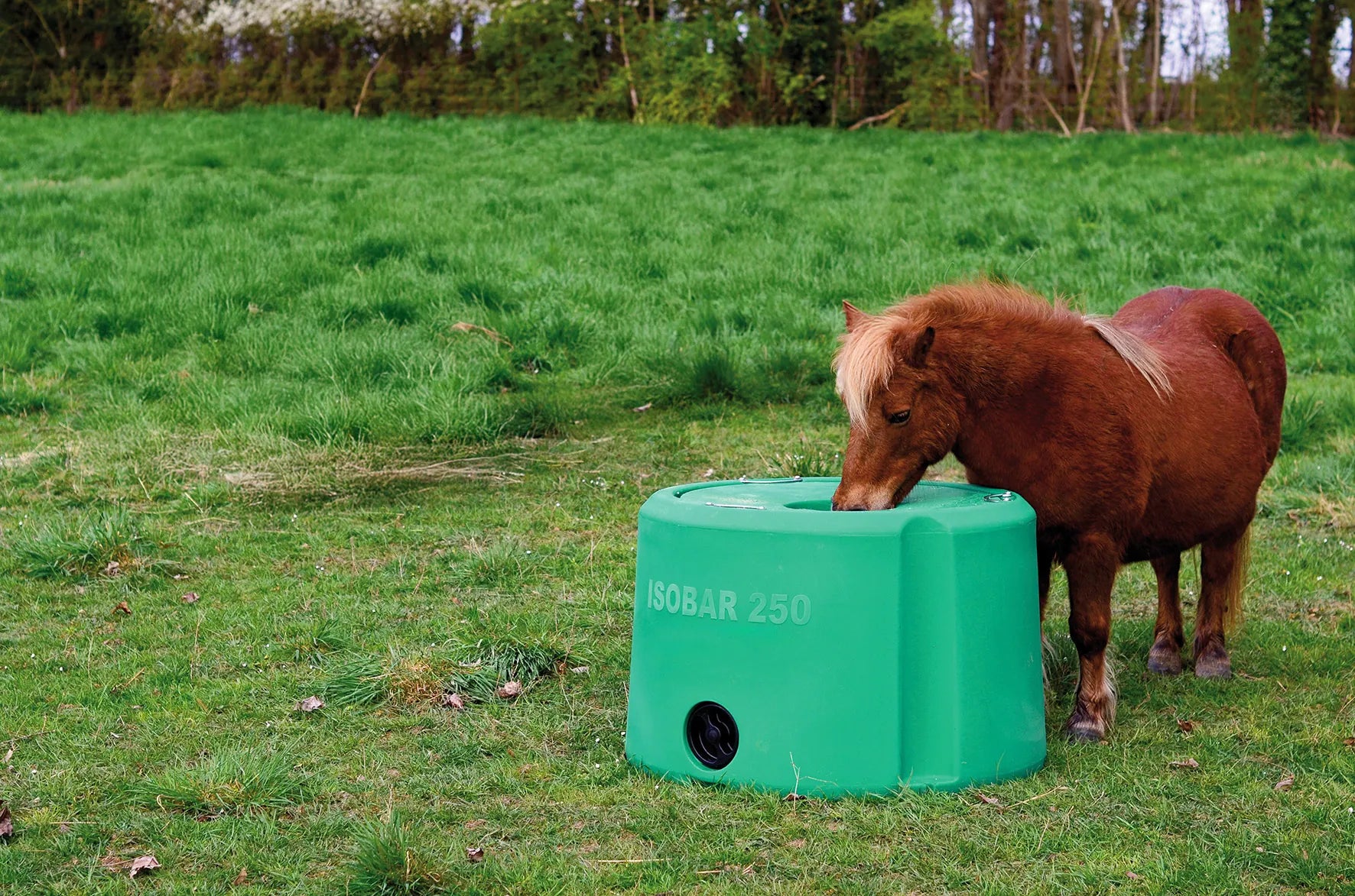 Thermo-Tränke Isobar 250 Inhalt 250 l, lebensmittelechtes HDPE