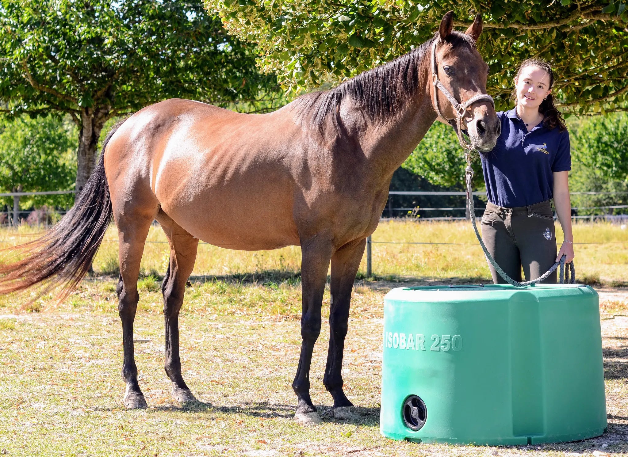 Thermo-Tränke Isobar 250 Inhalt 250 l, lebensmittelechtes HDPE