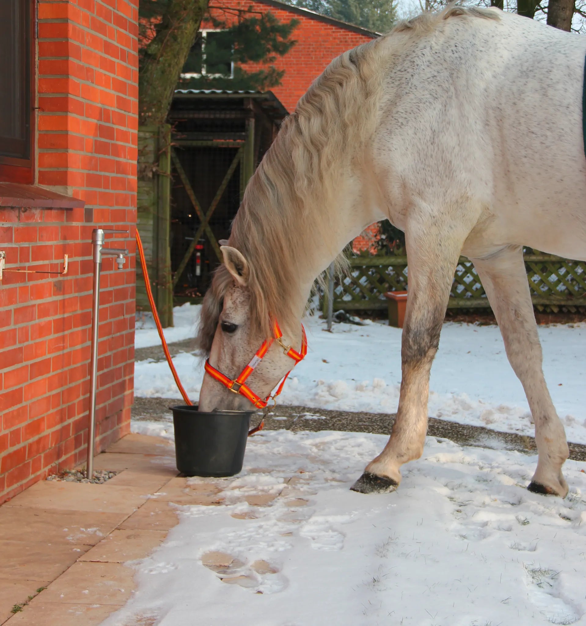 Frostsicheres Standventil (geeignet bis 8 bar Wasserdruck)