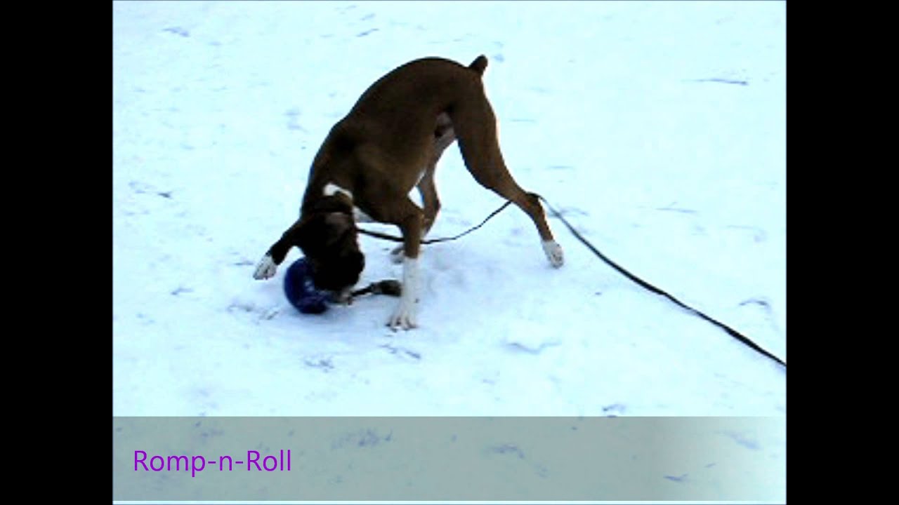 Jolly Pets Hundespielzeug Romp-n-Roll, Rot, Ø 11 cm