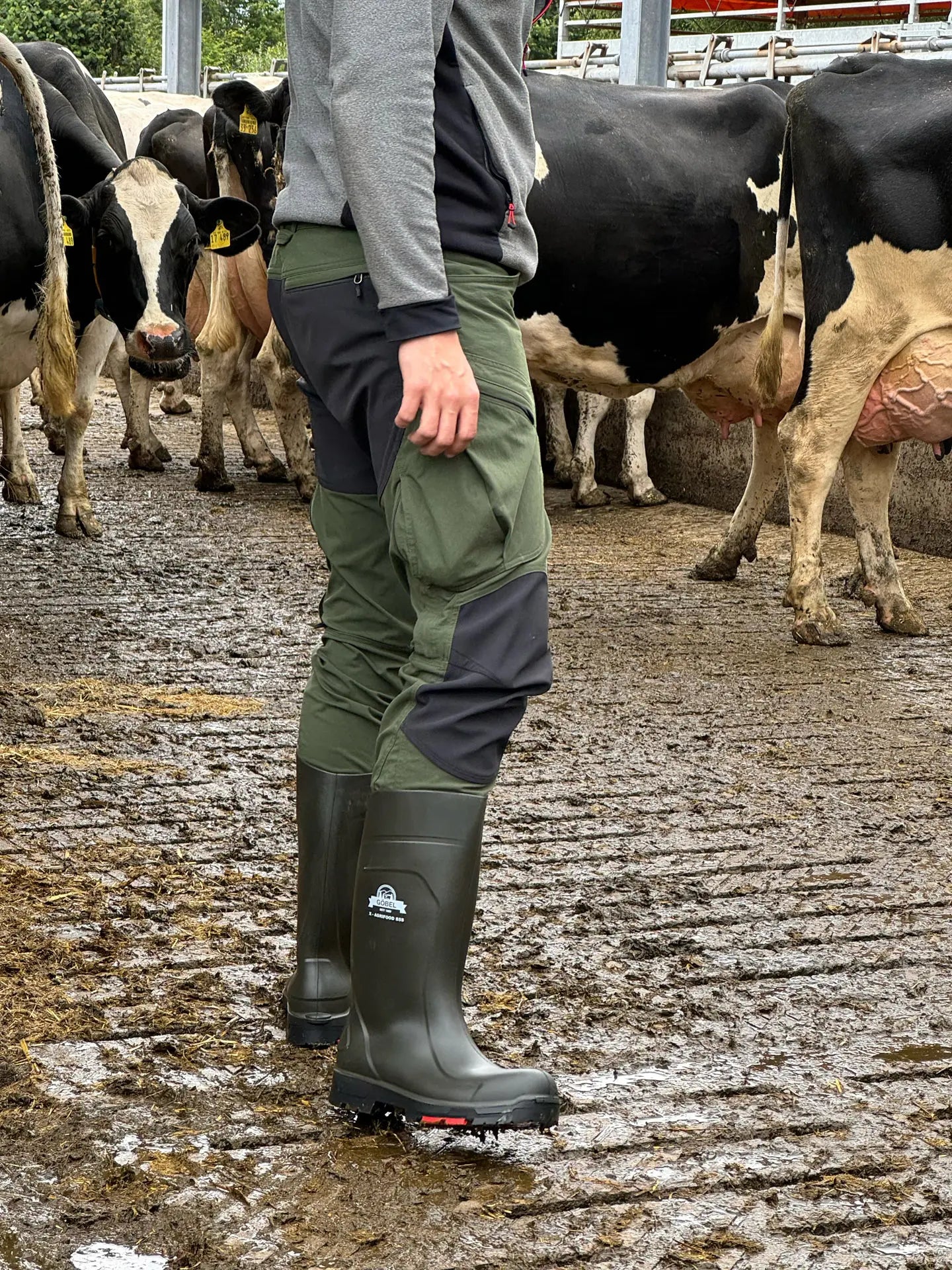 PU Sicherheitsstiefel Gr. 36 X-Agrifood S5 "S"