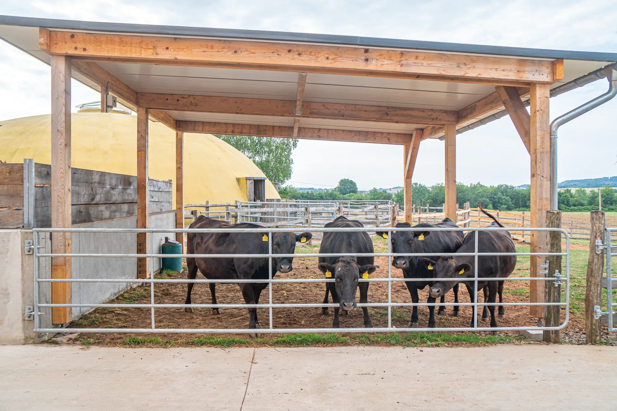 Profi-Weidezauntor, verstellbar, 1,10 m hoch, 5,00 - 6,00 m,