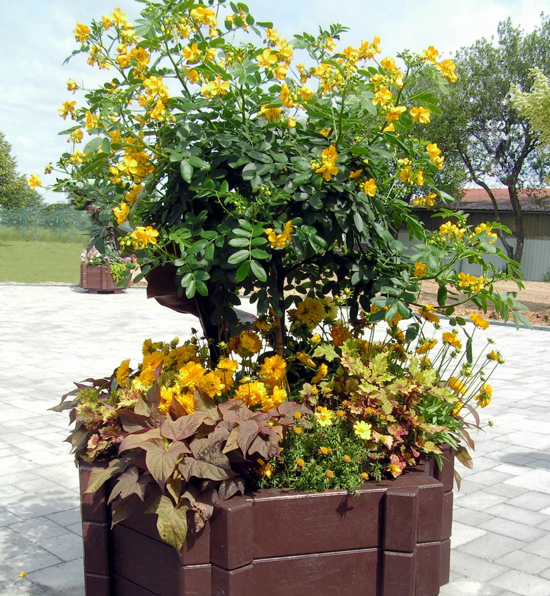 Blumenkübel Vinca