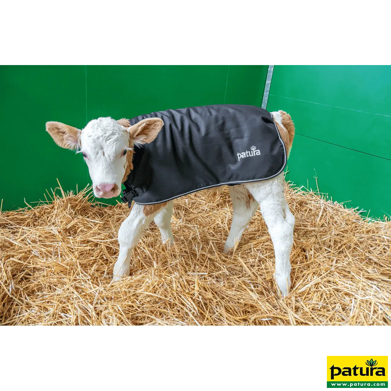 PATURA Kälberdecke, Größe L, Rückenlänge 75 cm