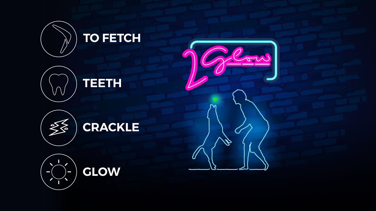 2 Glow Cracking & Tracking Bone – Leuchtender Hundeknochen
