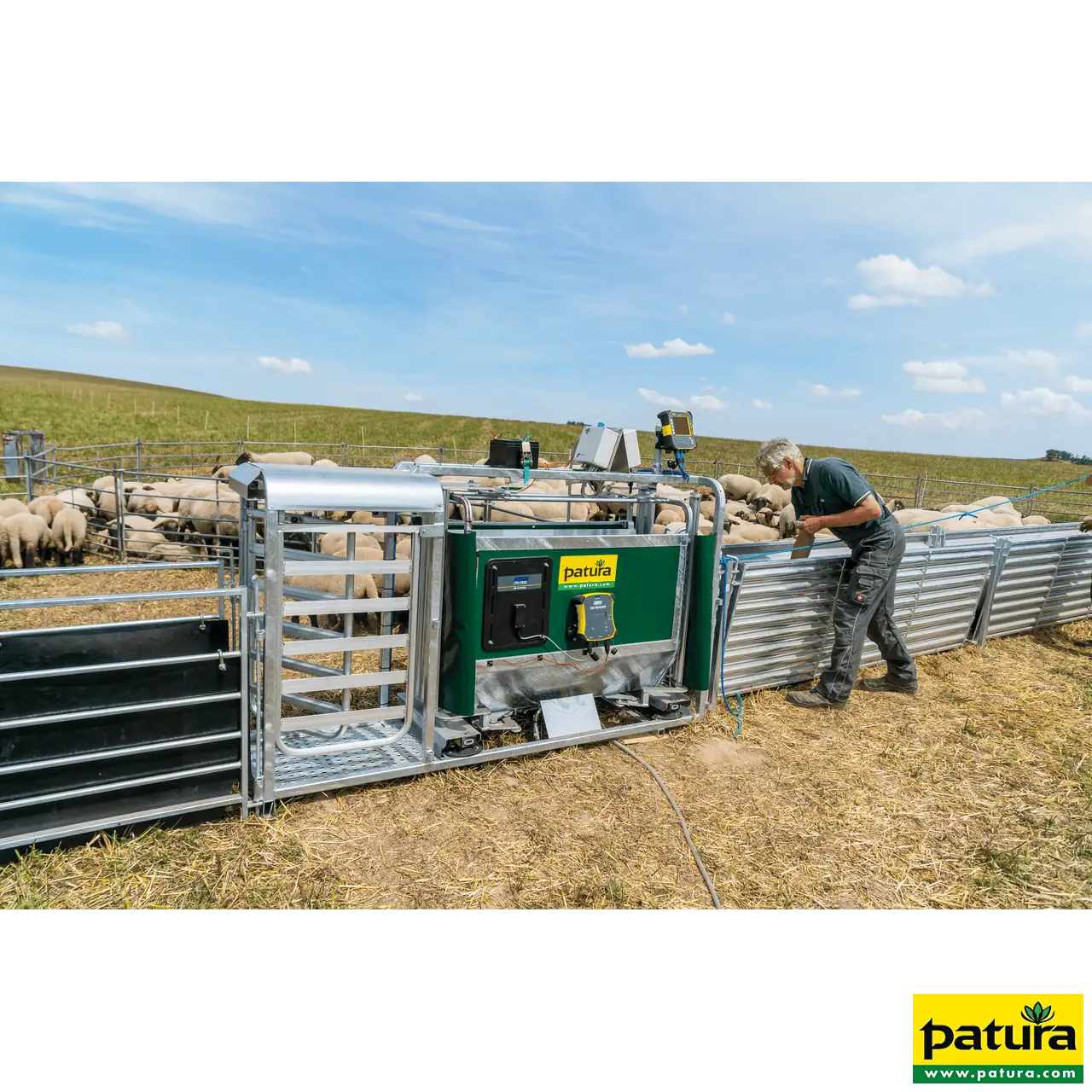 PATURA 3-Wege-Wiege- und Sortierbox, Druckluftbetrieb, für Schafe