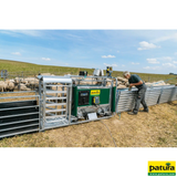PATURA 3-Wege-Wiege- und Sortierbox, Druckluftbetrieb, für Schafe