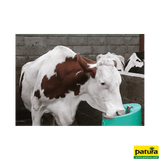 Zungenventil-Becken Stalcho 2, beheizbar, 24 V, 50 W, Kunststoff, Anschluss ½", für Kühe und Pferde