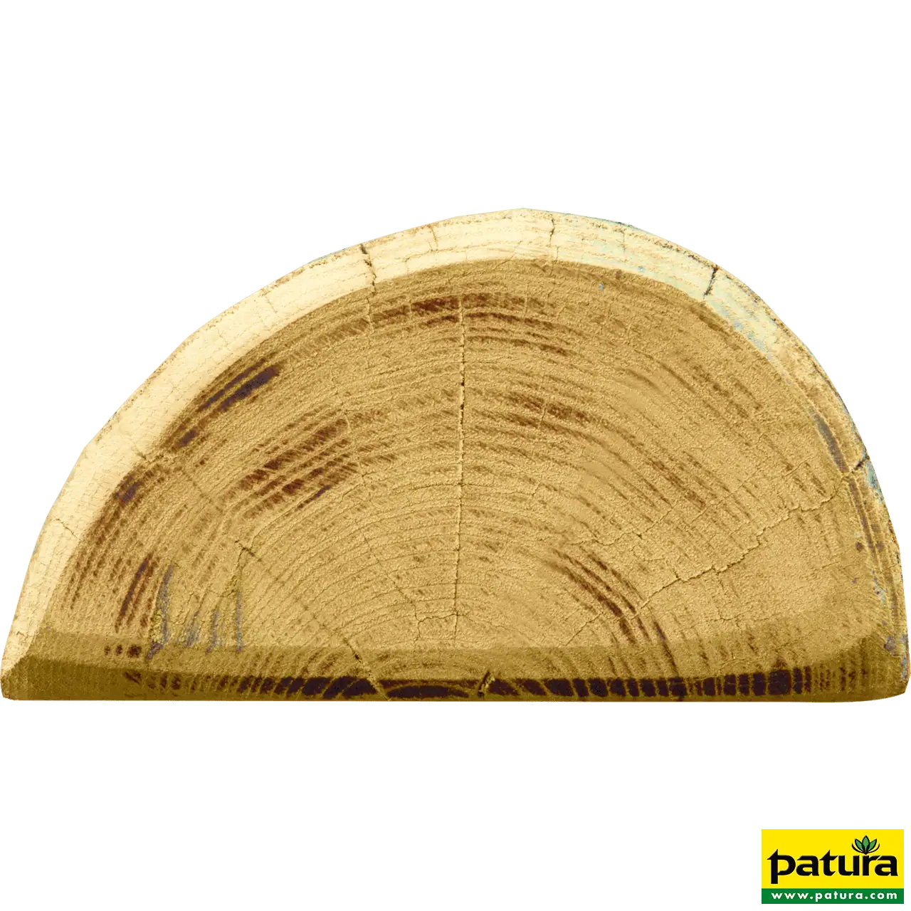 Robinienpfahl, halbiert, 1800 mm, Ø 13–15 cm, gefast, 3-fach gespitzt, entrindet