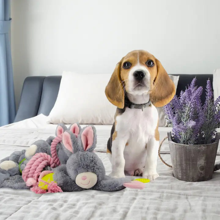 Bunny Hundespielzeug, Plüsch, Lavendelfüllung, Quietscher, für Welpen