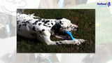 Jolly Pets Kauknochen, S, Kautschuk, Vanilleduft, 15 cm