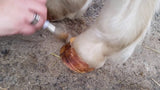 Excellent Horse Huffett Gel, 800 g