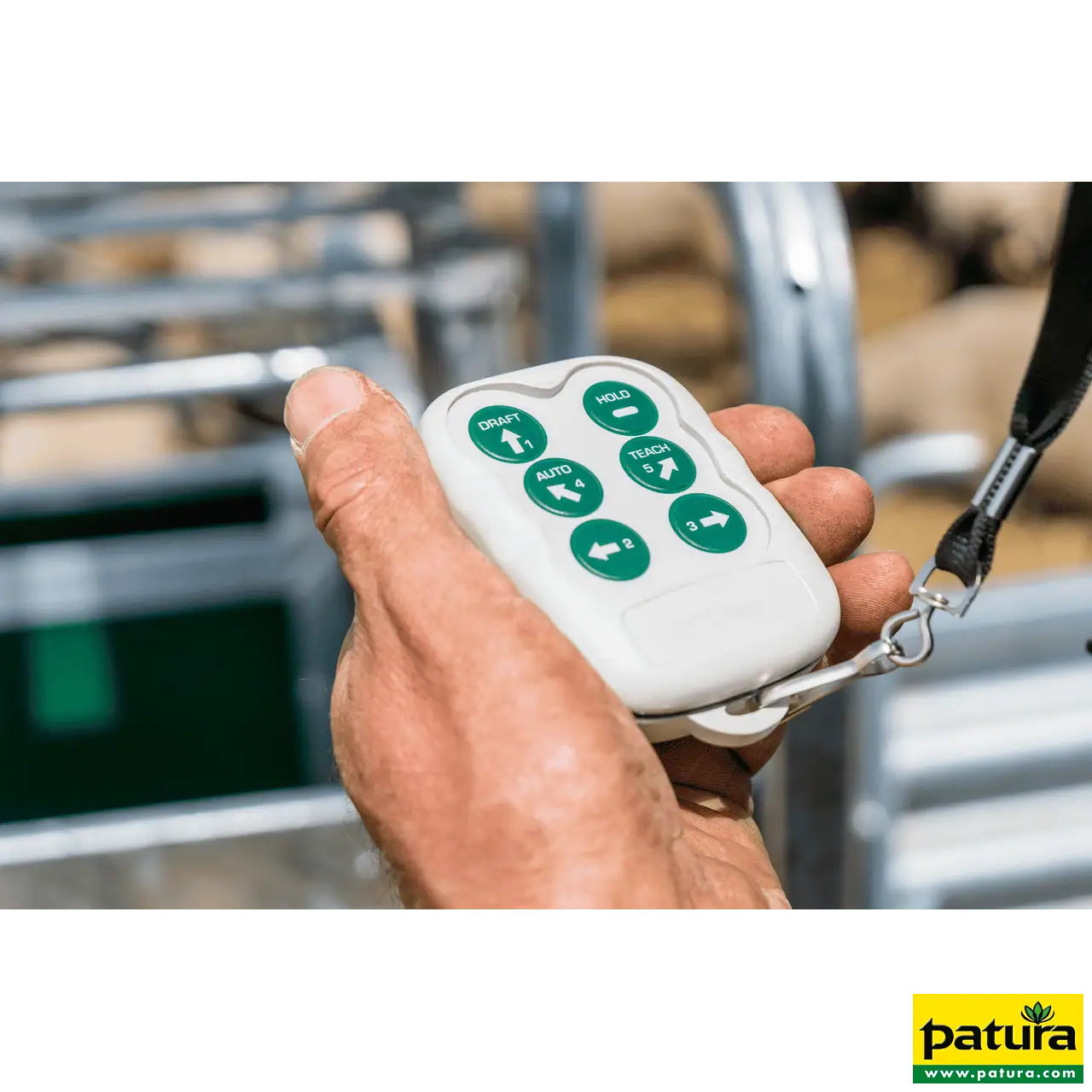 PATURA 3-Wege-Wiege- und Sortierbox, Druckluftbetrieb, für Schafe