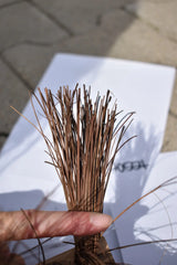 Bahiabesen mit Stielloch 32cm