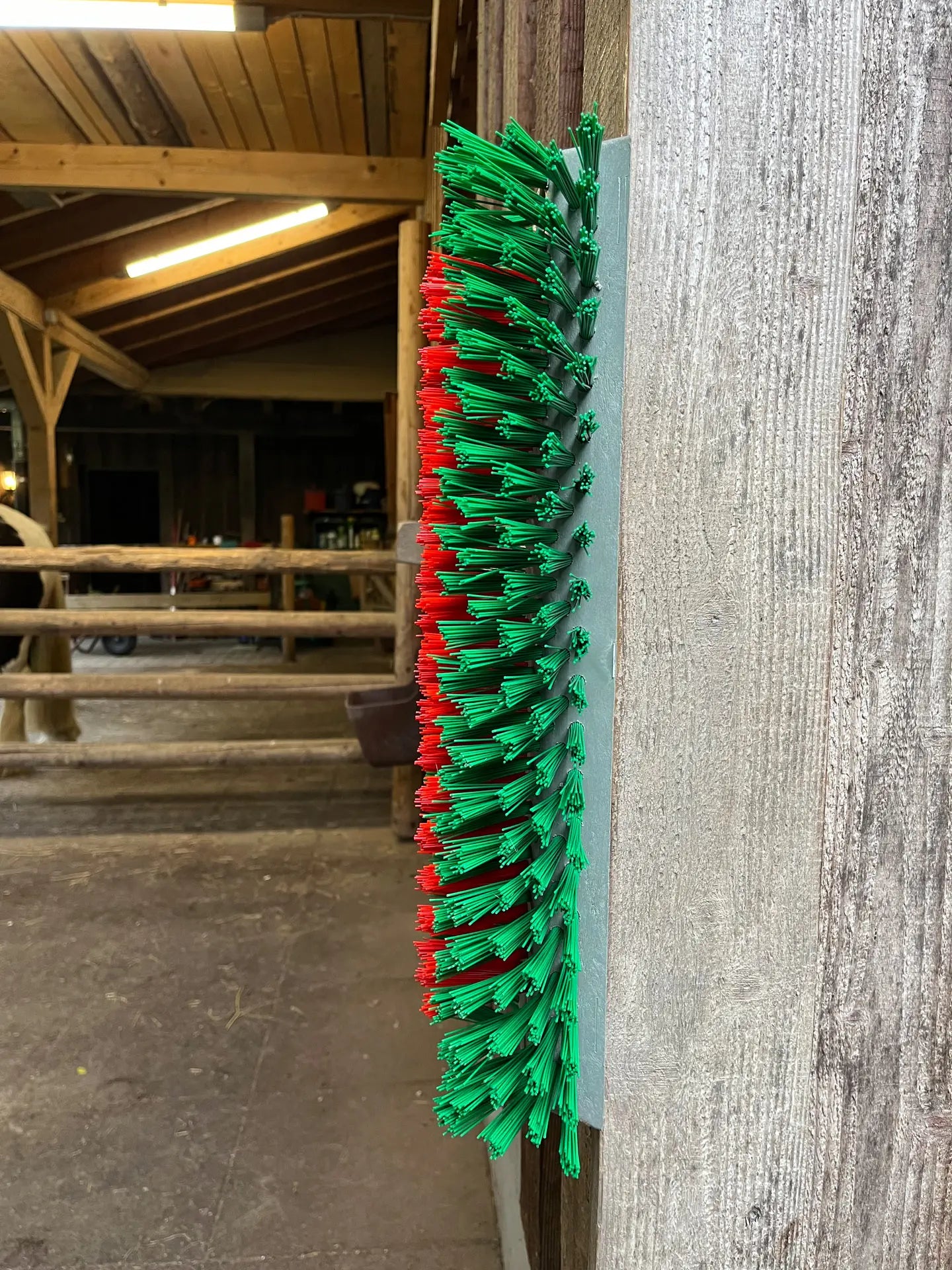 Kratzbürste grün/rot