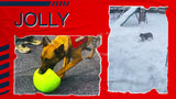 Jolly Pets Hundeball, schwimmfähig, rot, Ø 15 cm