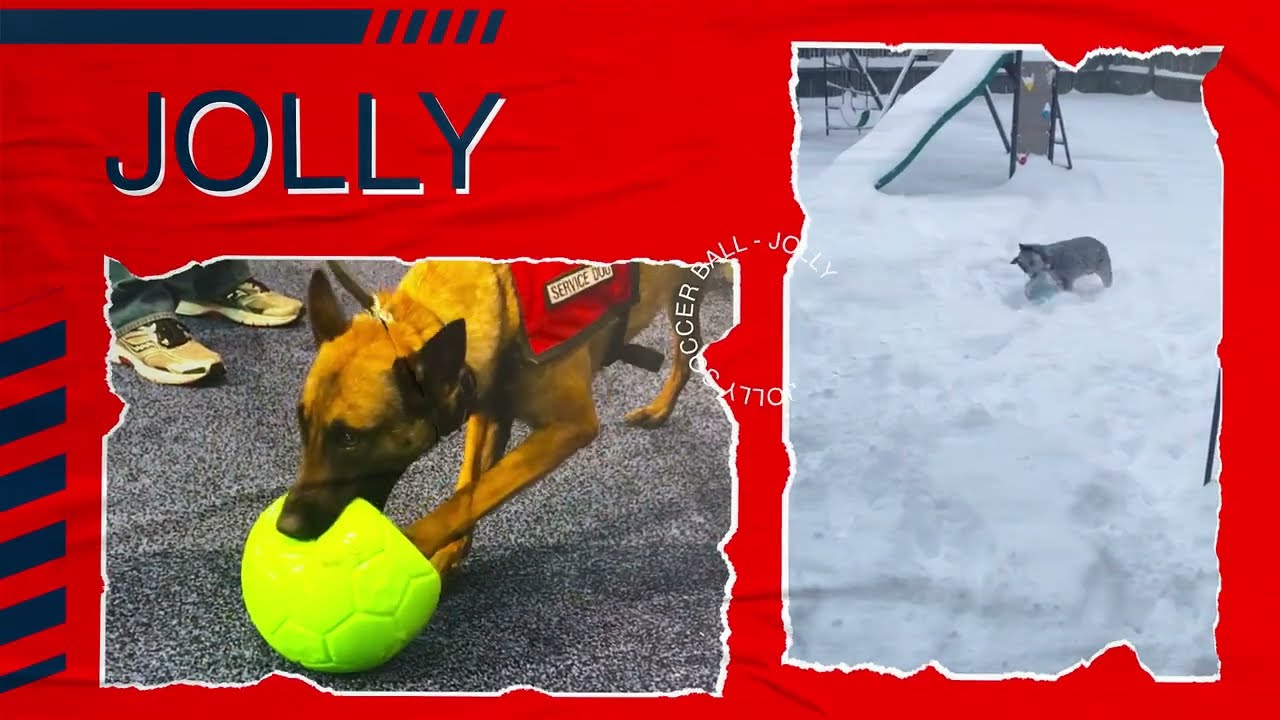 Jolly Pets Hundeball, Jollyflex, blau, schwimmfähig, Ø 15 cm