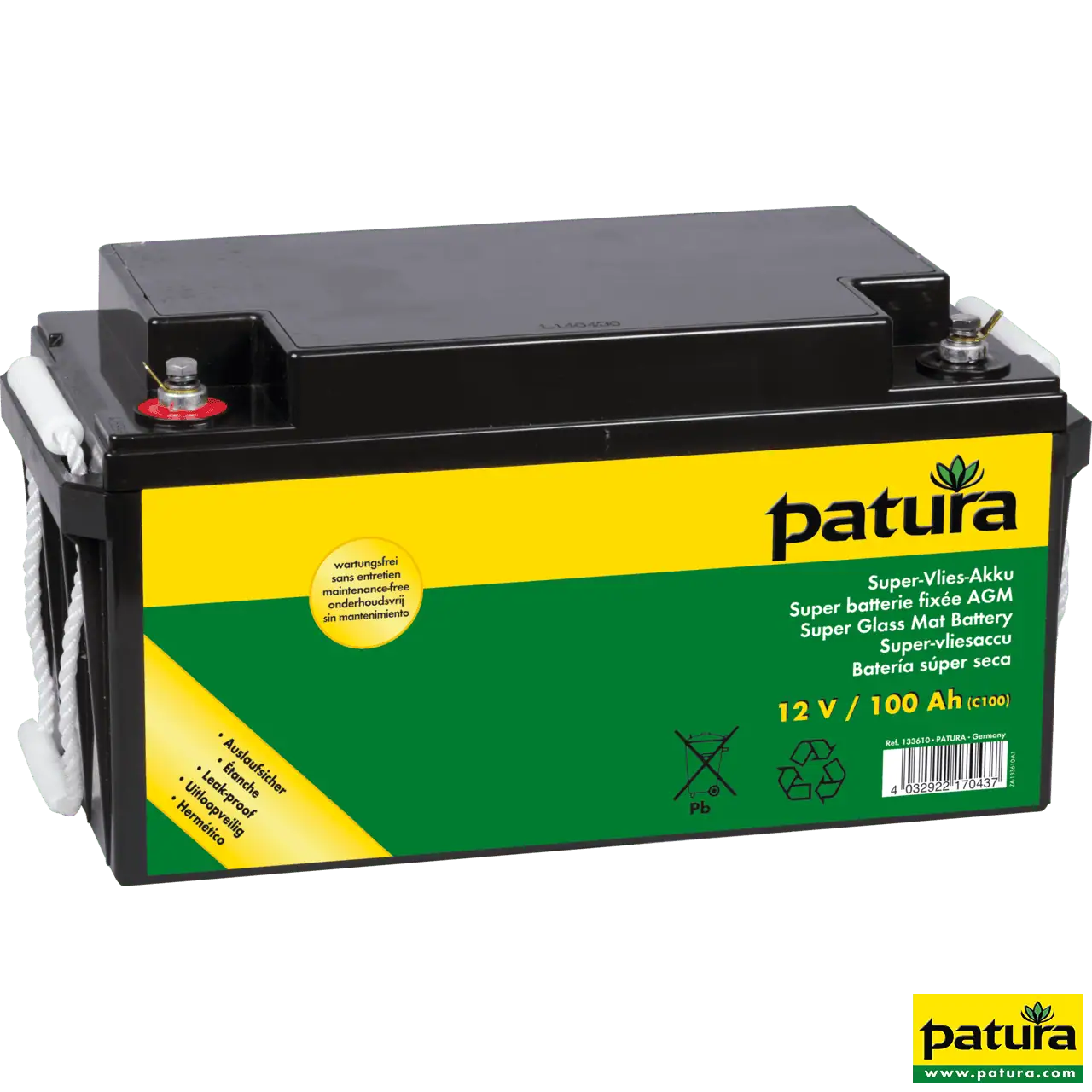 Vliesbatterie 12 V, 100 Ah, wartungsfrei, mit Tragegriffen
