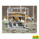Klauenpflegestand Compact, verzinkt, für Milchkühe