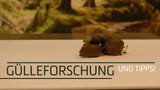 Excellent Horse Sand-Exit Ergänzungsfuttermittel Pferd, 1,5 kg