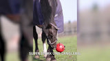 Excellent Horse Spielball, Ø 19 cm, blau