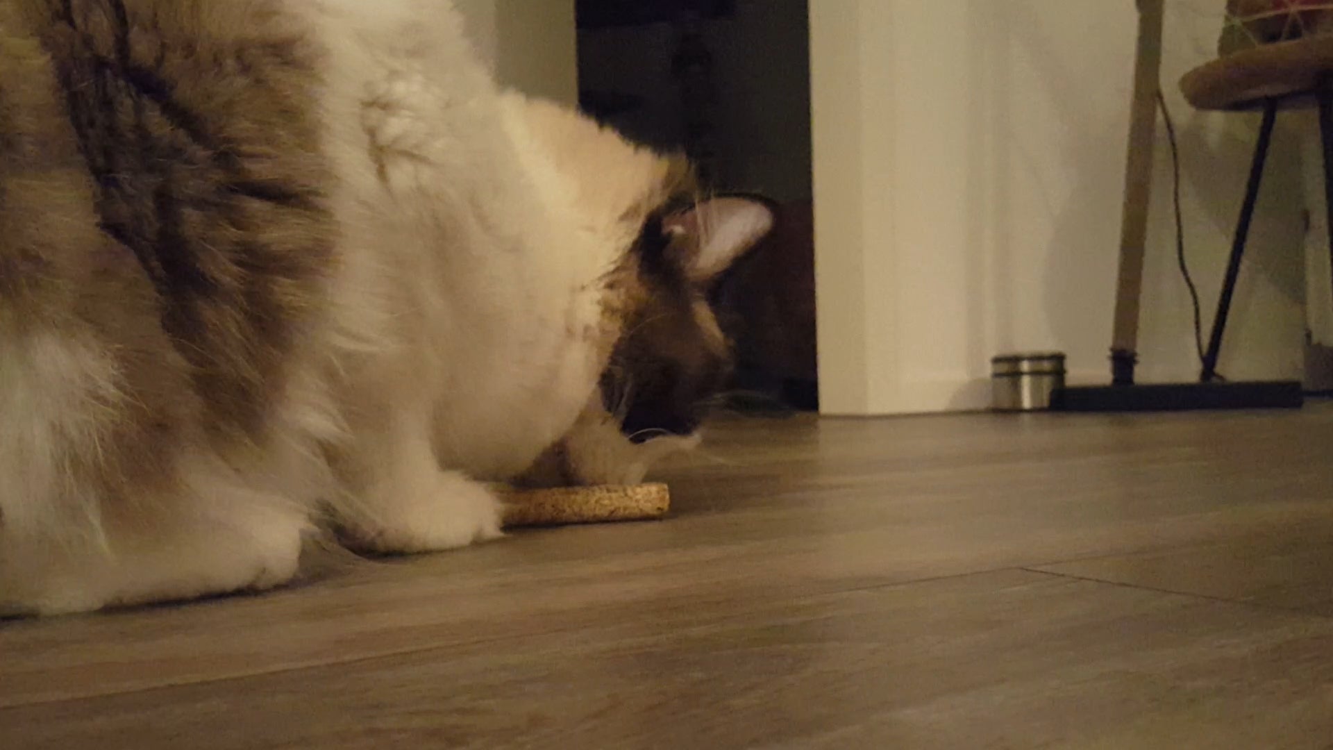 Addicted! Katzenspielzeug-Stick, mit Madnip, 2 Stk