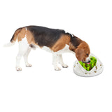 AFP Interactives Futterlabyrinth, Hund