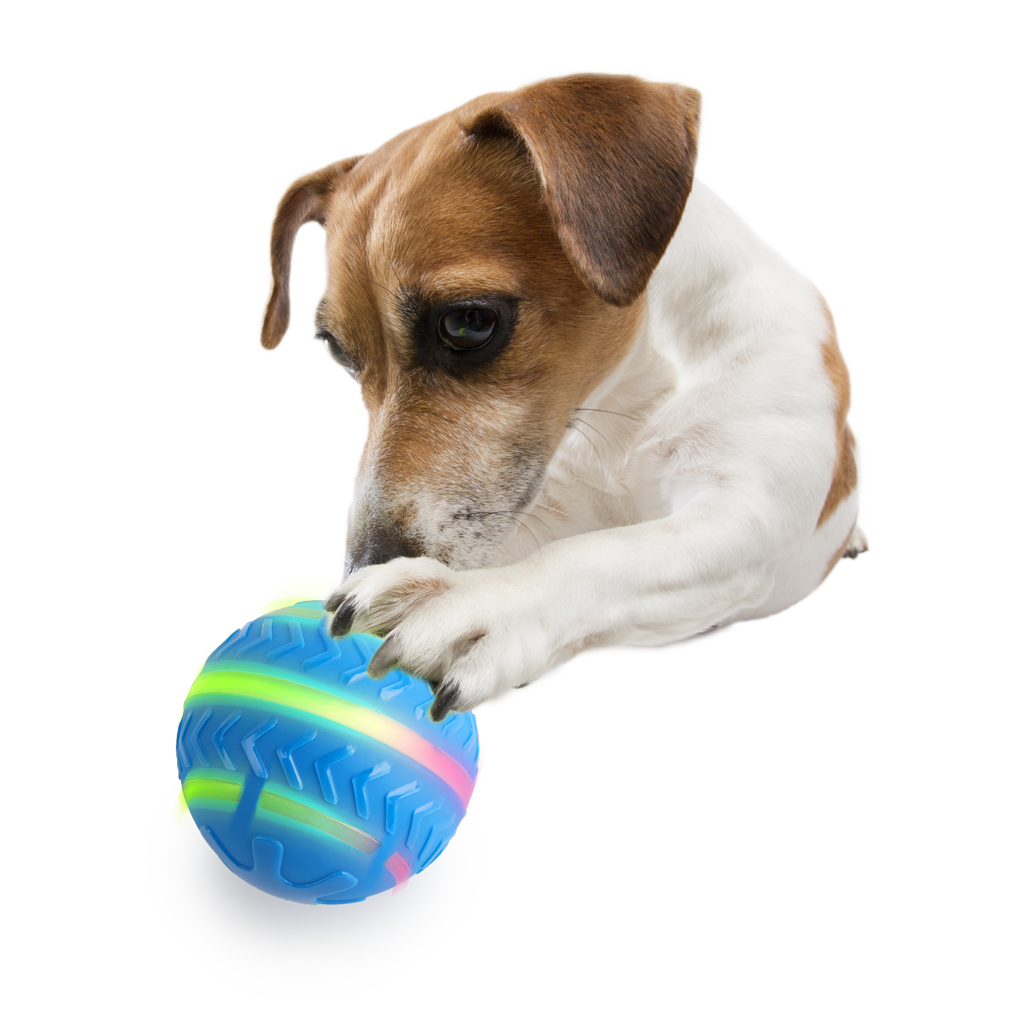 AFP Hundespielzeug, interaktiver Ball, bewegungsaktiviert, LED, wiederaufladbar