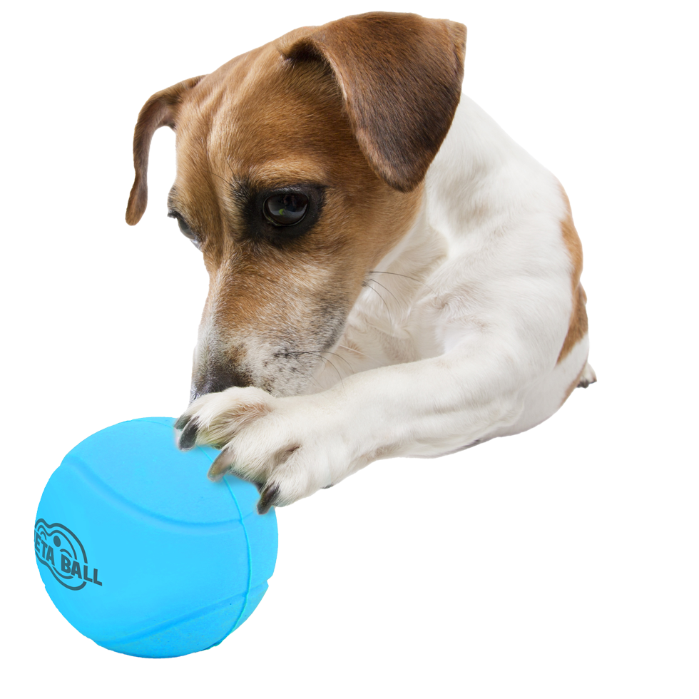 AFP Hundeball, Gummi, mit Rassel, Ø 6,3 cm